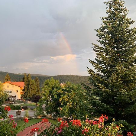 Albero Verde Verano Екстер'єр фото