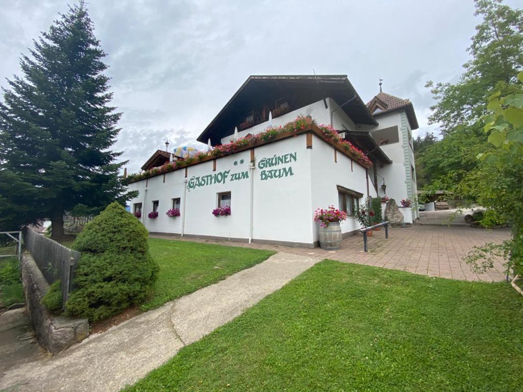 Albero Verde Verano Екстер'єр фото